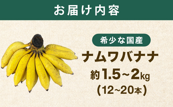 ≪2026年4～10月順次発送≫ 石垣島産 希少な国産『ナムワバナナ』を贅沢に1房丸ごと約1.5-2kg（12-20本）| 沖縄 石垣 バナナ フルーツ 果物 南国フルーツ 国産