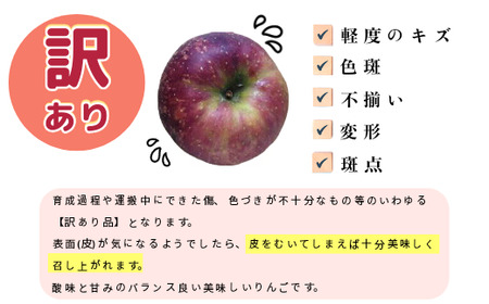 【先行予約】【訳あり】秋映（あきばえ）【約3ｋｇ(6?14玉)】 (7-A26-1)