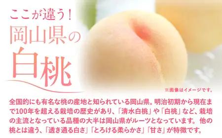 【2027年発送】 桃 岡山の 桃 約750g