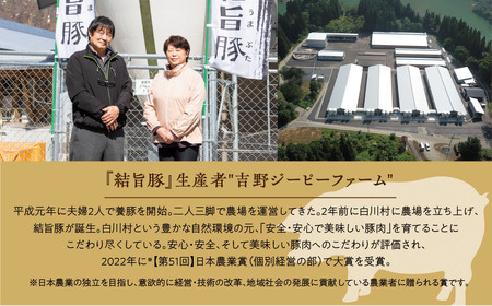 結旨豚 バラスライス 500g×2パック 計1kg 冷凍真空パック | 肉 お肉 豚肉 国産 鍋 お鍋 白川郷 岐阜県 白川村 ブランド豚 人気 おすすめ ギフト 飛騨高山ミート 11000円 [MS