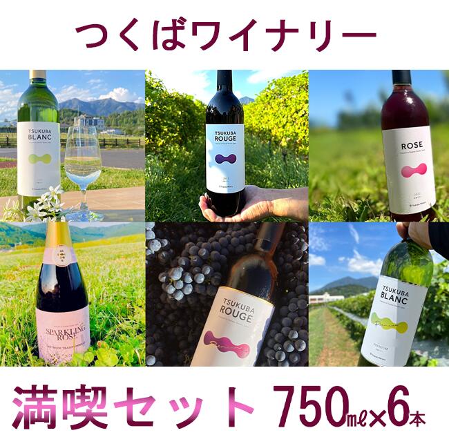 【ふるさと納税】つくばワイナリー 満喫セット | お酒 葡萄 ぶどう ブドウ 茨城県 つくば市 ワイナリー ワイン 赤ワイン 白ワイン ロゼワイン 飲み比べ