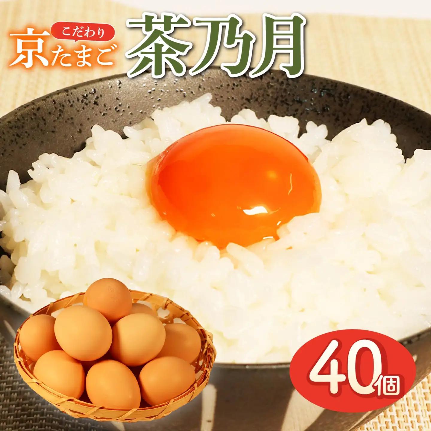 純国産種鶏の京たまご 「茶乃月」40個入 たまご