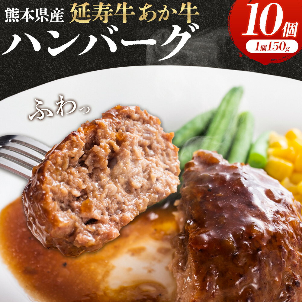 【ふるさと納税】熊本県産 延寿牛 あか牛 ハンバーグ 約150g×10個 合計約1.5kg 株式会社原田畜産《30営業日以内に出荷予定(土日祝除く)》小分け 個包装 お肉 和牛 ハンバーグ 焼くだけ 熊本県産 九州産 国産 冷凍 送料無料