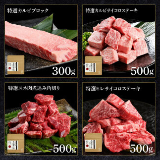 土佐和牛詰め合わせ8種Aセット 長期熟成肉 8種 詰め合わせ セット 田野屋銀象 完全天日塩付き 牛肉 肉 お肉 和牛 国産 牛 赤身 ヒレ カルビ ロース ブロック サーロイン スネ肉 熟成肉_イメ