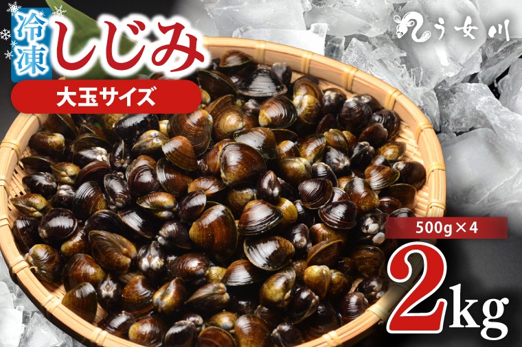 
            しじみ 冷凍 特選 大玉 2kg（500ｇ×4）砂抜き済み 涸沼川 う女川【シジミ オルニチン ミネラル ビタミンB12 出汁 肝臓 味噌汁 スープ 茨城県 水戸市】（IX-1113）
          