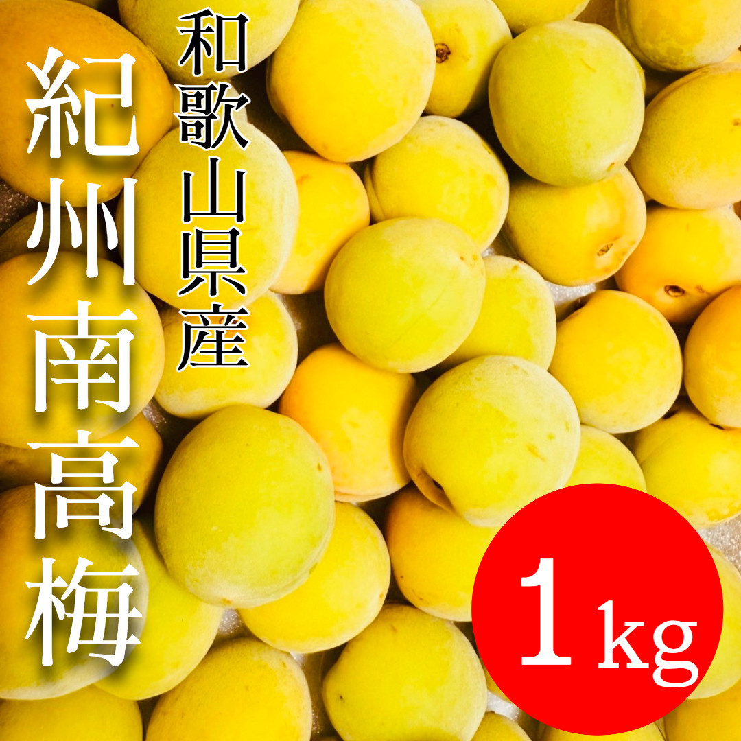 黄色～完熟梅 南高梅 1kg DJ066
