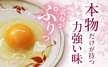 名古屋コーチン 卵 120個（10個入×12パック）（保証20個含） / 卵 たまご 玉子 鶏卵 名古屋コーチン / 稲沢市 / 櫛田養鶏所 [BMAY002]