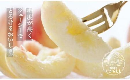 飛騨のたからもも 特上 糖度15度以上（4-6玉）※7月中旬～順次お届け | 桃 朝採れ 白桃 もも フルーツ ギフト 果物 人気 おまかせ 飛騨桃 飛騨高山 つむぎ果樹園 b723
