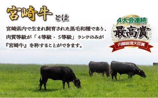 SKMSG＜2026年2月発送分＞宮崎牛ミスジステーキ（真空パック）