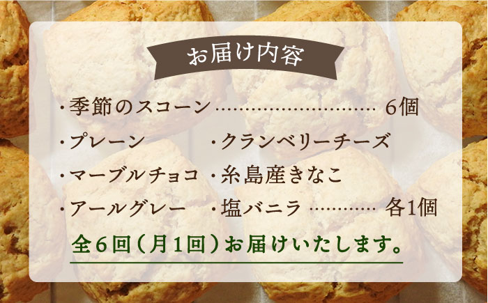 【全6回定期便】【ご自宅用】定番 ＆ 季節 の スコーン 12個セット 糸島市 / スコーン専門店キナフク [AFA016]