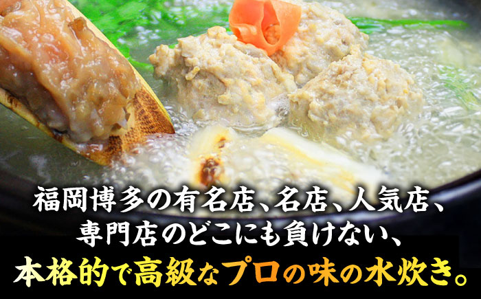 博多水炊き(はかた一番どり切り身・つみれ)セット 2～3人前＜株式会社ベネフィス＞那珂川市 [GED047]