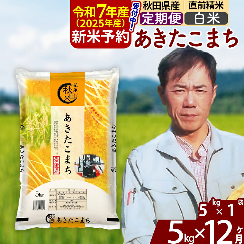 【ふるさと納税】※令和7年産 新米予約※《定期便12ヶ月》秋田県産 あきたこまち 5kg【白米】(5kg小分け袋) 2025年産 お届け周期調整可能 隔月に調整OK お米 みそらファーム