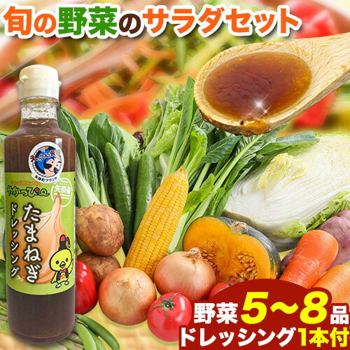 【ふるさと納税】 【先行予約】 矢掛町 サラダ セット 野菜 5〜8品目入 青空市きらり《4月上旬から10月上旬頃に出荷予定》岡山県 矢掛町 野菜 野菜詰め合わせ ドレッシング トマト きゅうり アスパラガス 玉ねぎ リーキ 送料無料