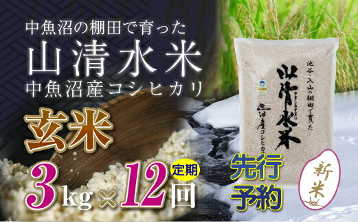 【ふるさと納税】【先行新米予約】【定期便／全12回】玄米3kg　新潟県魚沼産コシヒカリ「山清水米」十日町市 米　お届け：寄附入金確認後、10月上旬から順次発送します。