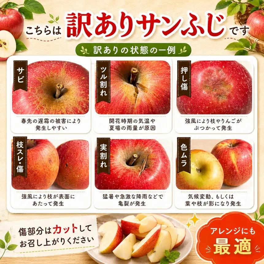 訳あり品 長野県産 サンふじ 約10kg ＜2027年1月上旬～2月上旬発送＞ | 長野県 飯田市