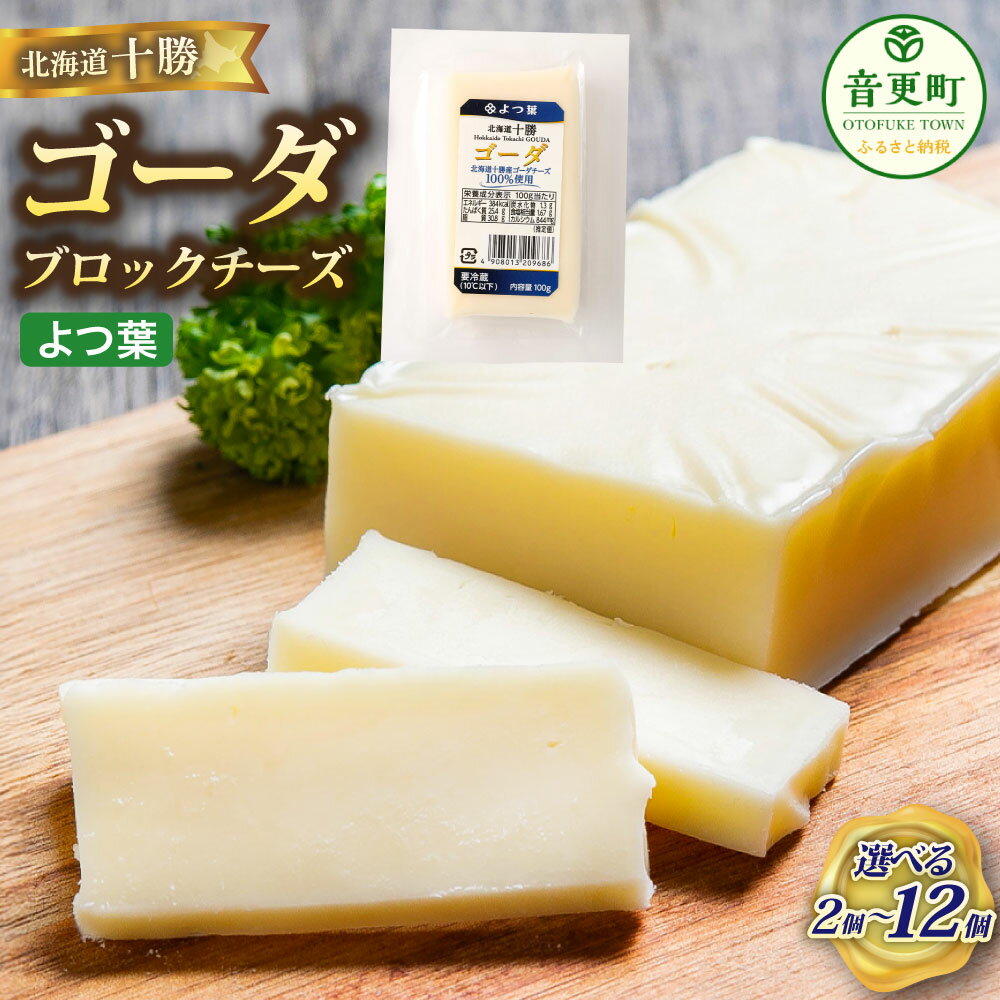 【ふるさと納税】＜選べる内容量＞「よつ葉」 北海道十勝 ゴーダ ブロックチーズ 2個 4個 8個 12個 1個あたり100g 計200g～1.2kg ゴーダチーズ セミハードタイプ ナチュラルチーズ 生乳 乳製品 サラダ オードブル パスタ リゾット 料理 冷蔵 国産