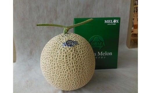 013-14　最高級温室 アローマメロン 山級１玉 最高級 贈答 アローマメロン 温室育ち ジューシー