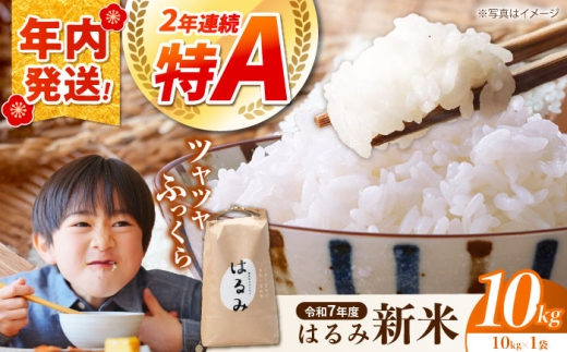 【年内発送】【新米】 米 新米 はるみ 10kg 令和7年産 白米 お米 ご飯 精米 はるみ ハルミ ご飯 ごはん ライス 白飯 おこめ こめ おいしいお米 銘柄米 ブランド米 食卓 主食 料理 自炊 お弁当 おにぎり おむすび 朝食 甘み つや おいしい 産地直送 国産 神奈川県 開成町産【遠藤ファーム】 特産品  農家直送 新米 10キロ 1袋 【特Aランク受賞実績あり！】 [BDAF002]