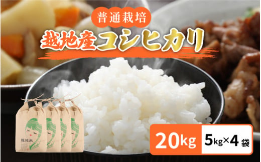 米 越地（こいち）産 令和6年産 コシヒカリ（普通栽培） 計20kg（5kg × 4袋）[m24-d002]