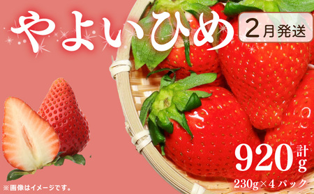 《2月発送》先行予約 訳あり いちご やよいひめ 920g いちご いちご いちご いちご Berry Mate Farm