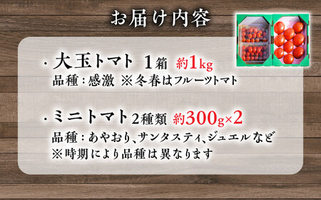 【先行予約・4月以降発送】日田の濃縮トマト 2箱 計1.6kg 日田市 / 有限会社マルカ農園（トマトファーム）[ARAH001]