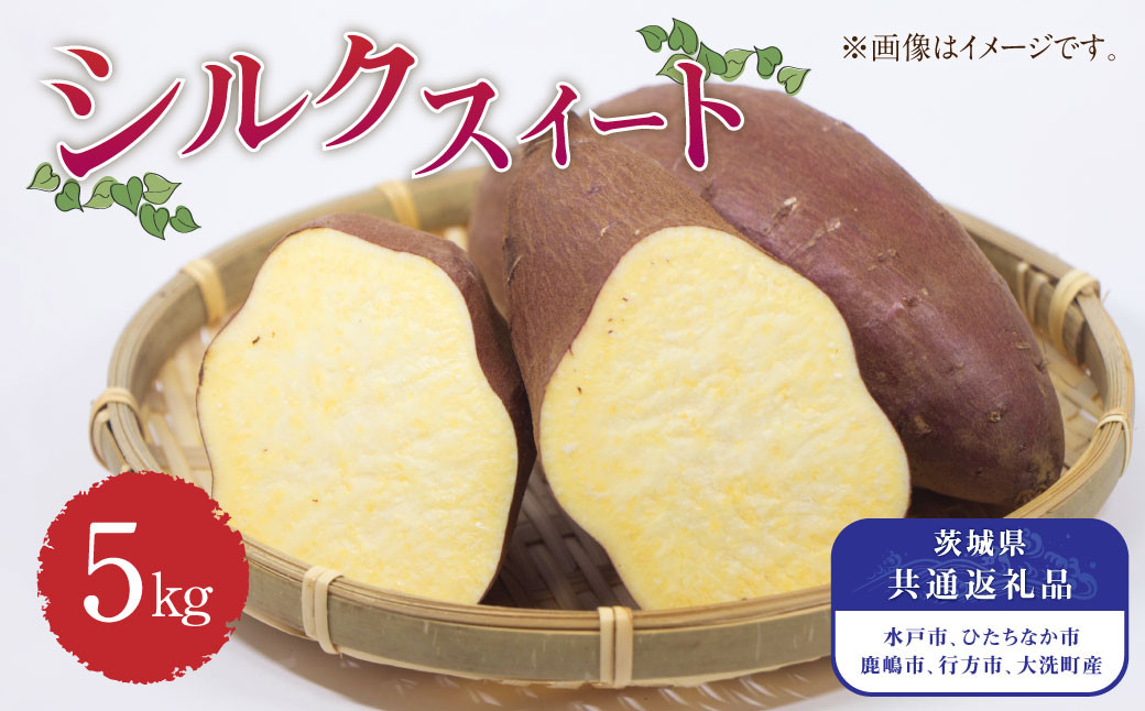 
茨城県産 さつまいも【シルクスイート】5kg （茨城県共通返礼品・水戸市、ひたちなか市、鹿嶋市、行方市、大洗町産） 【2024年10月下旬発送開始】
