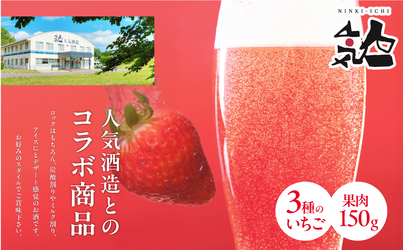 まるなかファーム×人気酒造 Koichigoリキュール 300ml×1本 いちご 酒 リキュール liqueur ストロベリー 日本酒 セット 苺 イチゴ フルーツ 果物 おすすめ お中元 お歳暮 ギ