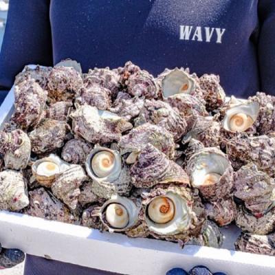 ふるさと納税 長門市 漁師手作り 山口県産さざえうに3本セット(10026) |  | 02