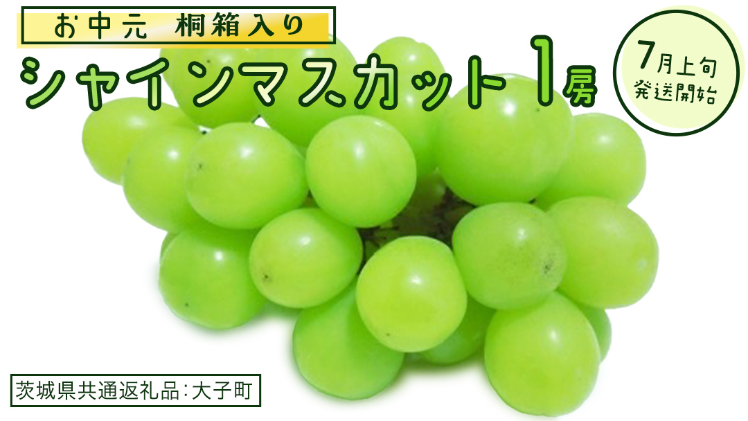 【 お中元 桐箱入り】 シャインマスカット 1房 【2026年7月上旬発送開始】(茨城県共通返礼品：大子町) ぶどう 葡萄 マスカット フルーツ 果物 贈答用 ギフト 贈り物