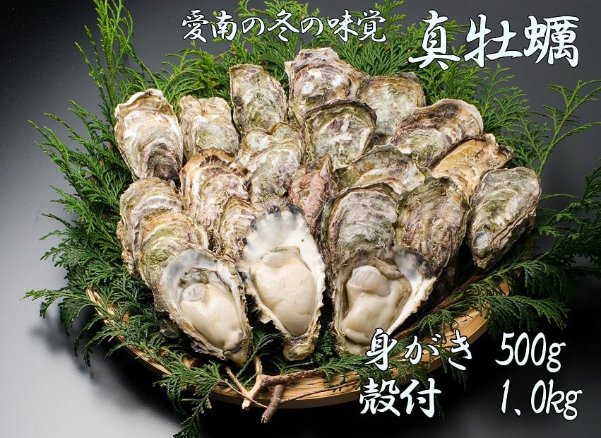 
            先行予約 愛南かき （ むき身 500g ・ 殻付 1kg ） 15000円 牡蠣 身がき むき身 殻付き かき カキ オイスター 鍋 カキフライ ミルク ソテー クリームシチュー グラタン 牡蠣鍋 蒸し 酒蒸し オイル漬 塩辛 冷蔵 国産 産地直送 期間限定 数量限定 特産品 海鮮 魚介 養殖 人気 限定 愛南町 愛媛県
          