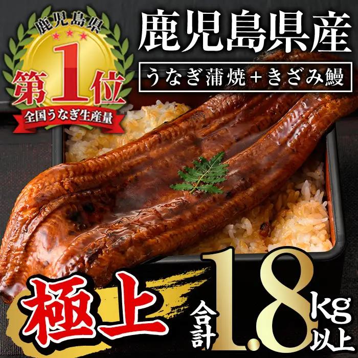 無投薬！ 鹿児島県産 うなぎ 蒲焼 きざみ セット ＜極上＞ (160g～236g×7尾・きざみ50g×10袋) タレ 山椒 付き【西日本養鰻】D12-v02