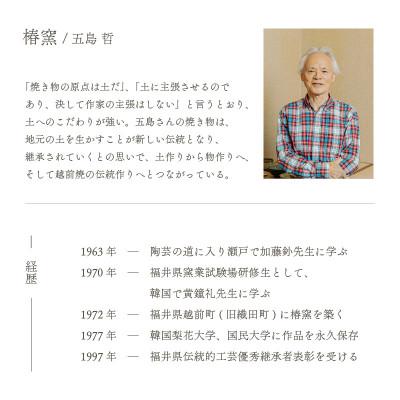 ふるさと納税 越前町 「椿窯」【越前焼】刷毛目 イラボ盃　 |  | 02