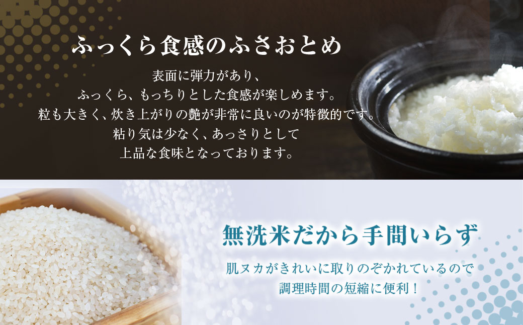 ふるさと納税 人気 おすすめ ランキング 穀物 米 ふさおとめ 精米 おいしい 美味しい 甘い 定期便 北海道 豊浦町 送料無料/房の黄金米「ふさおとめ」10kg SMBR002