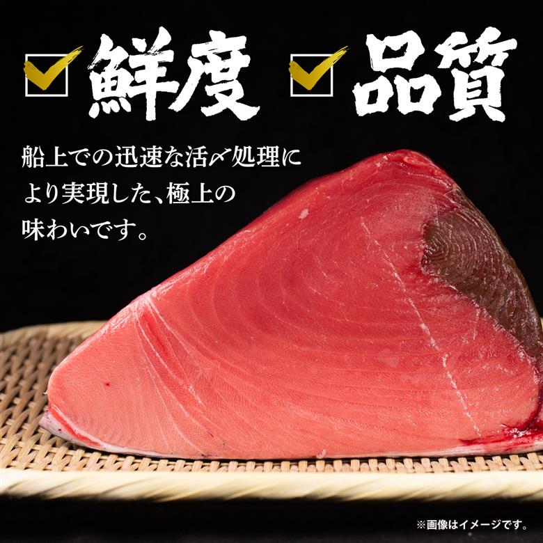 本マグロ切り落し 400g 1個80g 小分け 赤身 トロ 中トロ ヨネタ水産 冷凍 津軽海峡産 本まぐろ 鮪 船上活〆 新鮮 刺身 鉄火丼 海鮮丼 手巻き寿司 お手軽 簡単調理 産地直送 お取り寄せ
