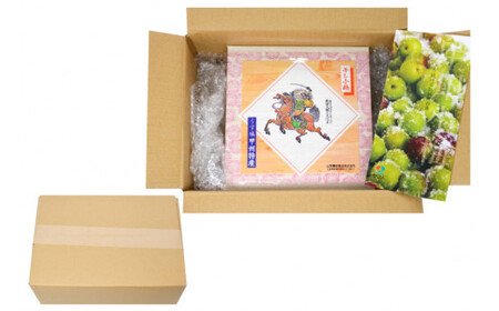 【塩分11％】しそ風味 干し小梅 600g×1 梅干し 国産