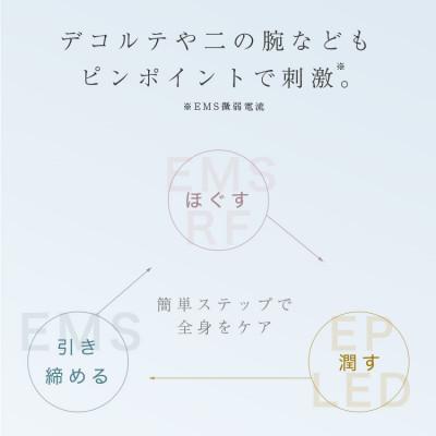 ふるさと納税 犬山市 【LOABI/ロアビ公式】 電気ブラシ 美顔器 REALIA レアリア |  | 01