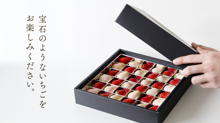 【 お歳暮 熨斗付 】赤いちごと白いちごの宝石箱 36粒【12月から発送開始】（茨城県共通返礼品 [いちご]：城里町産）