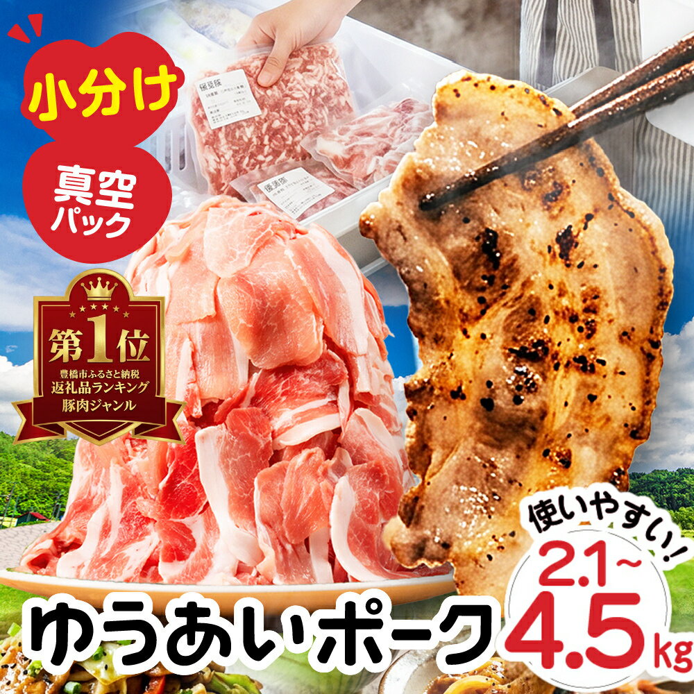 【ふるさと納税】★4.5 小分け 250g 真空パック 豚肉 ゆうあいポーク ランキング 1位 豚こま切れ 2.1kg ~ 4.5kg 250g 小分け 肉 簡易包装 訳あり 国産豚 国産 冷凍 傷 小分け 定期便 こま切れ 小間切れ 切り落とし 豚 ぶた 肉 生活応援 便利な個包装 10000円 20000円 豊橋市