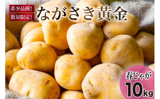 
										
										【期間限定発送】 じゃがいも ながさき黄金 10kg ( 春じゃがいも ) [南串ながさき黄金生産組合 長崎県 雲仙市 item1354] ジャガイモ 春ジャガイモ 野菜 10キロ 期間限定
									