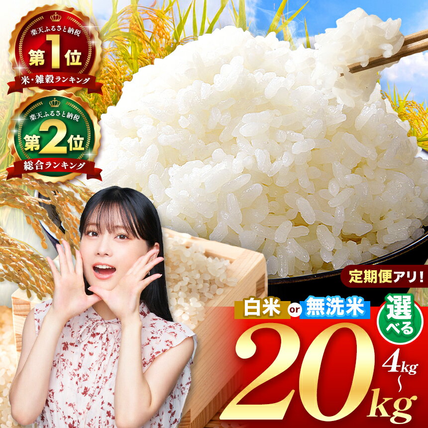 【ふるさと納税】 【R7年産 新米予約 or R6年産米 順次発送 】 熊本県産 訳あり 応援米 白米 or ほたるの灯り 無洗米 or くまさんの輝き 無洗米 or くまもとの無洗米 | 4kg ～ 20kg 米 こめ 単一米 ブランド米 特A 獲得地域 オススメ 人気 小分け 定期 | 新米 即納 日本遺産