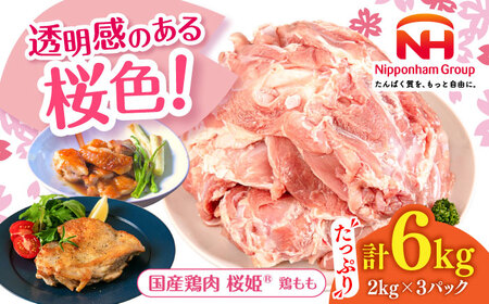 桜姫 鶏もも 計6kg 2kg×3パック【東日本フード株式会社】トリ モモ 照り焼き 唐揚げ 銘柄 ブランド冷凍 国産 北海道 [AXBM036]