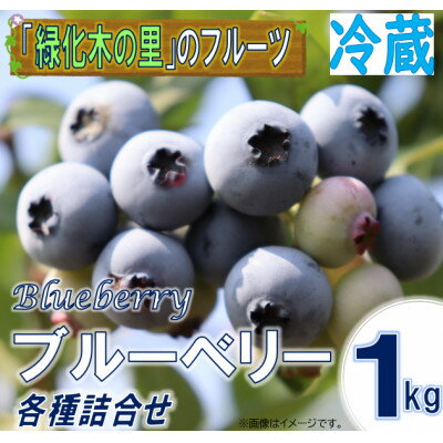 【ふるさと納税】【先行予約/冷蔵】ブルーベリー1kg(各種詰合せ)【配送不可地域：離島・沖縄県】【1608646】