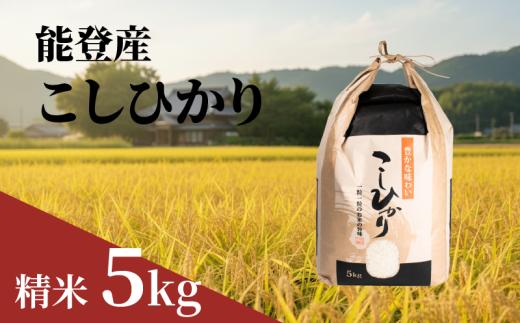 新米 こしひかり 精米 5kg 能登 の おこめ 数量限定 令和7年産 甘み hakumai ※ ご飯 ごはん R7 2025年産 おいしい 美味しい 石川県 石川 能登 羽咋 支援 応援 復興応援 復興支援 お米 米 白米 こめ kome okome ふるさと納税米 