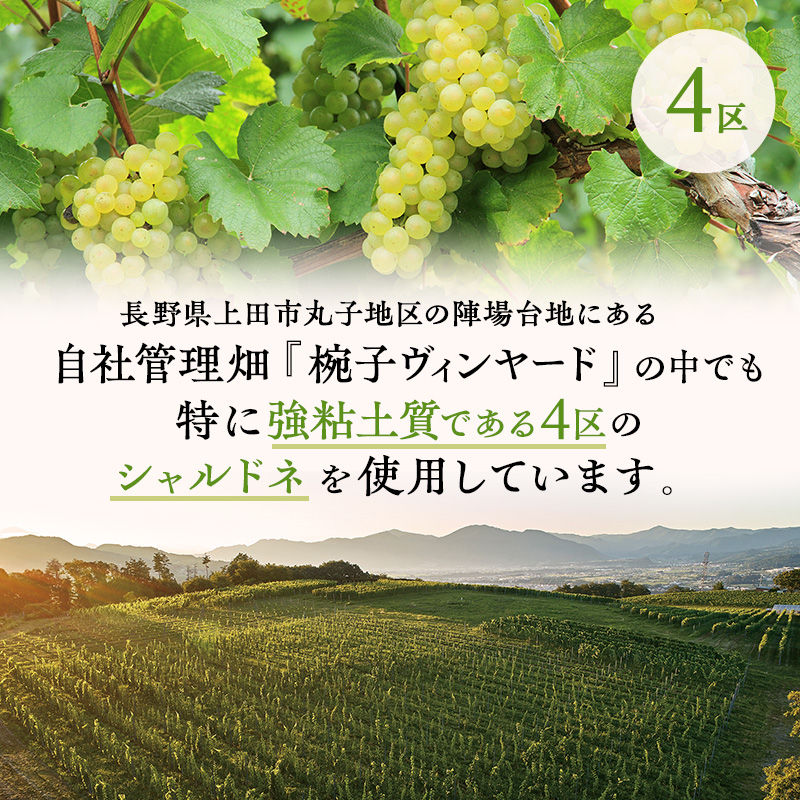 限定 ワイン 椀子シャルドネ ブロック4 ミッドナイト・ハーベスト 750ml 椀子ワイナリー限定品 シャトー・メルシャン シャルドネ 白ワイン 辛口 お酒 酒 アルコール ギフト 贈り物 プレゼント