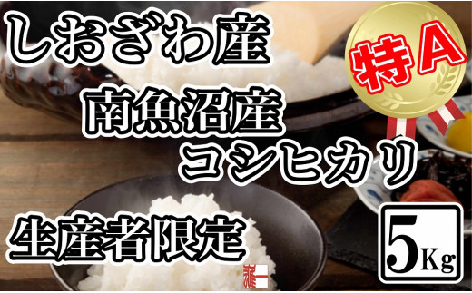 
            【令和7年産】生産者限定 契約栽培 南魚沼しおざわ産コシヒカリ5Kg【2025年10月上旬より順次発送予定】
          