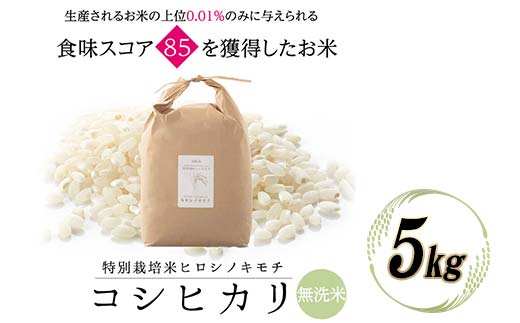 特別栽培米 コシヒカリ ヒロシノキモチ 無洗米 5kg ブランド米 銘柄米 国産 米 お米 日本米 ギフト 贈り物 備蓄 防災 食品 陽咲玲 はるざれ F6T-1083