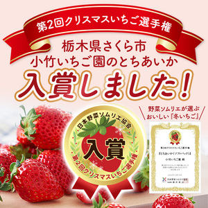 いちご とちあいか・スカイベリーセット 270g×4パック ※2027年1月～発送