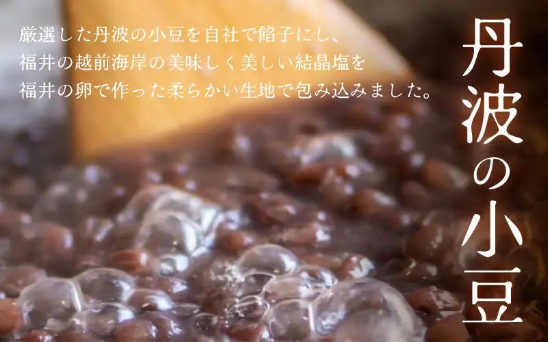 塩とあんこの絶妙なハーモニー 塩どら 10個セット【スイーツ お菓子 和菓子 どら焼 どらやき ギフト 贈答】 [A-12853]