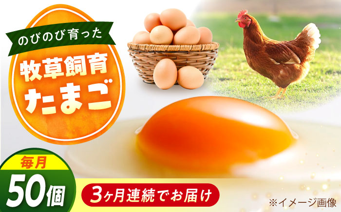 【全3回定期便】天心山 たまご 50個（10個入り×5パック） 卵 たまご 高級 食品 たまごかけご飯 卵かけご飯 卵焼き 生卵 濃厚 ケーキ お菓子 づくり ランキング 上位 人気 おすすめ 定期便