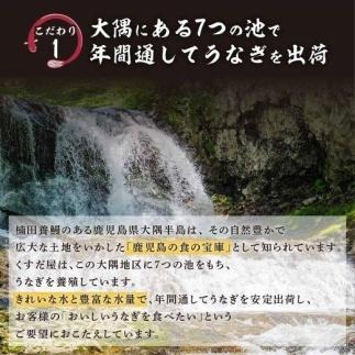 くすだ屋の鰻2尾_150gx2